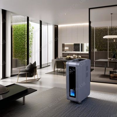 Good price 3L Водородный терапевтический аппарат многофункциональный семейный ингалятор H2 онлайн